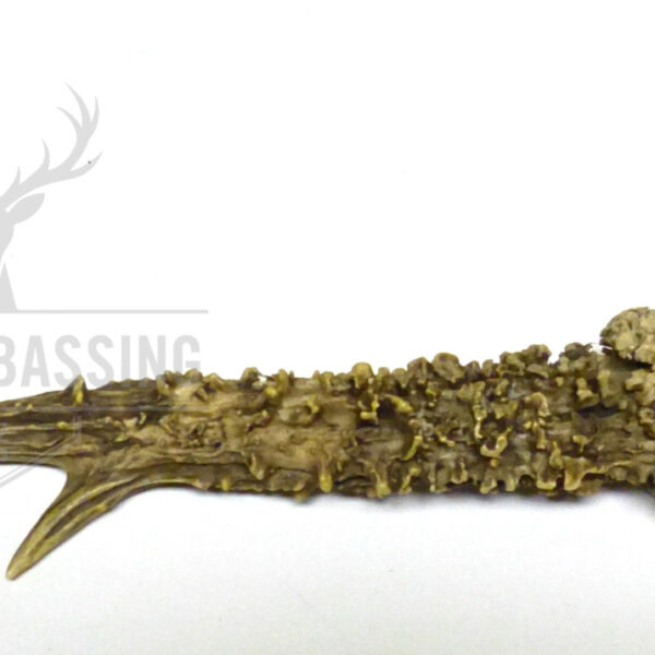 Flaschenöffner echtes Rehgehörn, 29cm